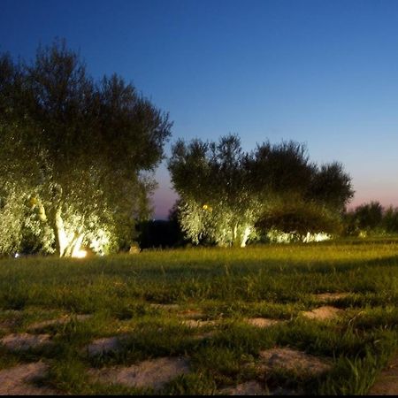 Casa Degli Ulivi Bed and Breakfast Cerveteri Exteriör bild