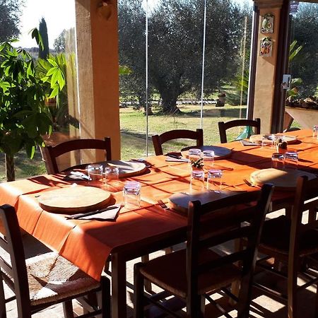 Casa Degli Ulivi Bed and Breakfast Cerveteri Exteriör bild