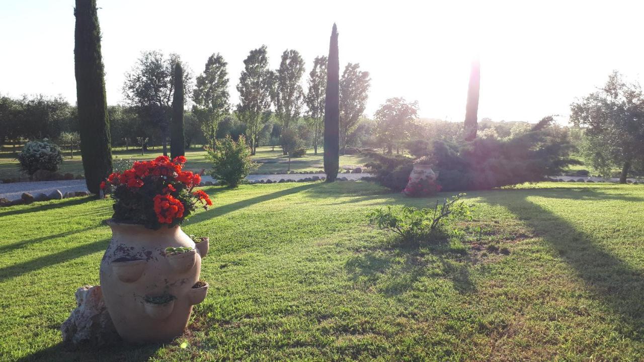 Casa Degli Ulivi Bed and Breakfast Cerveteri Exteriör bild