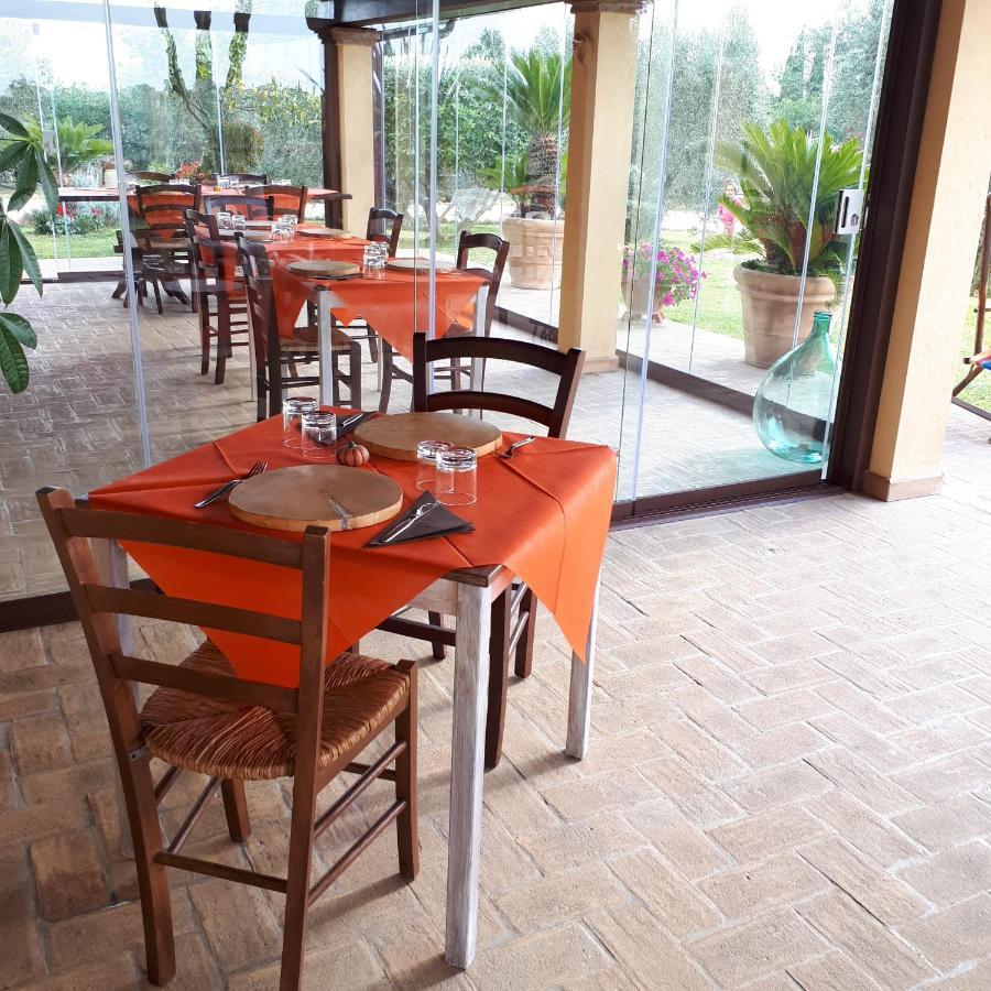 Casa Degli Ulivi Bed and Breakfast Cerveteri Exteriör bild