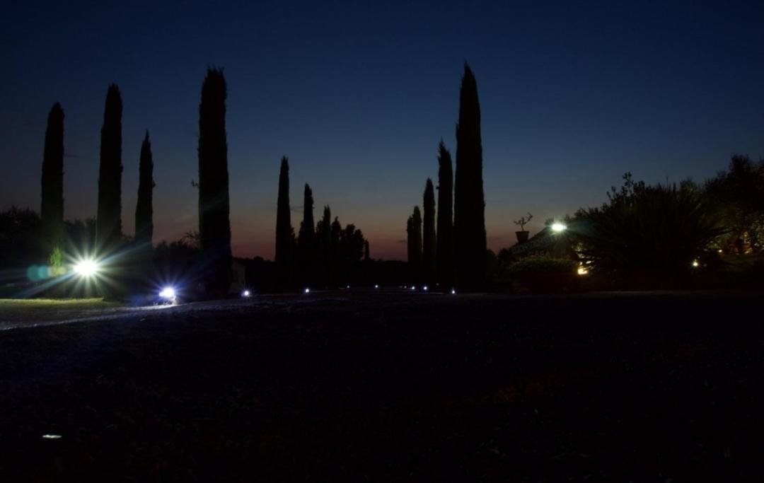 Casa Degli Ulivi Bed and Breakfast Cerveteri Exteriör bild