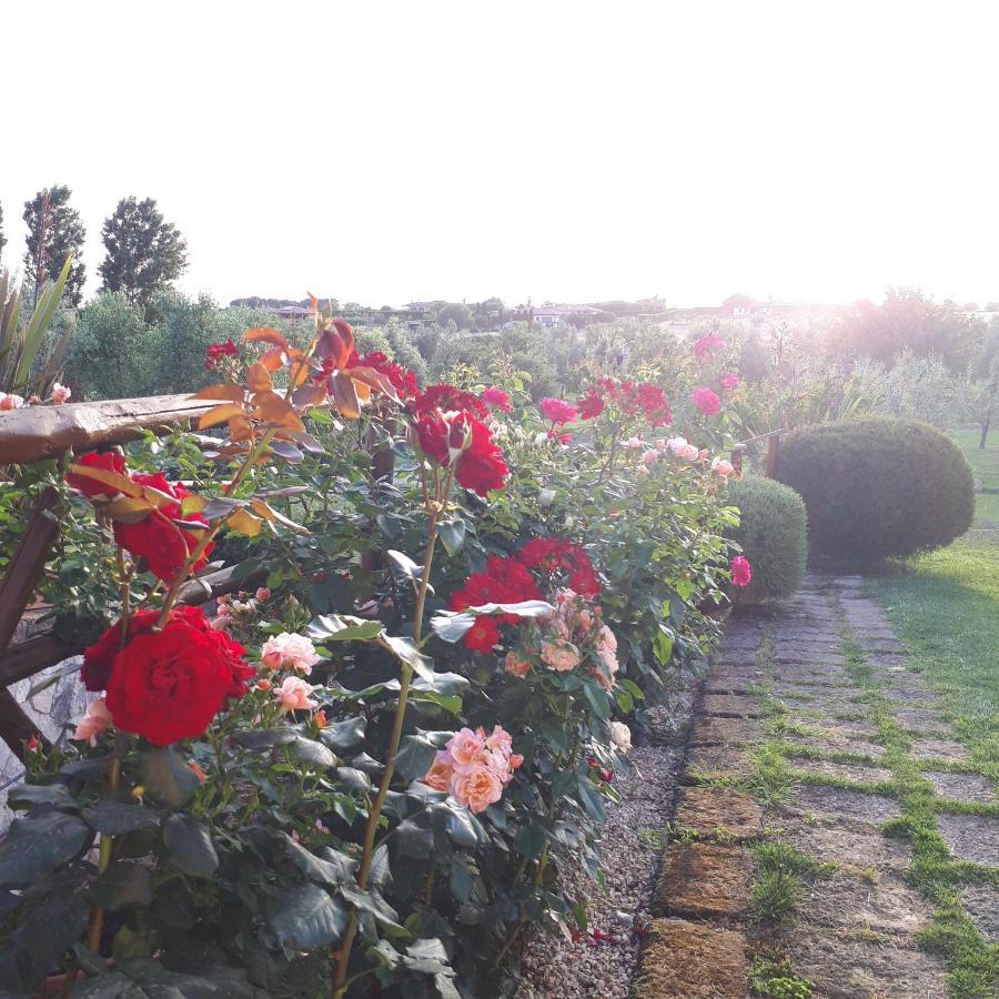 Casa Degli Ulivi Bed and Breakfast Cerveteri Exteriör bild