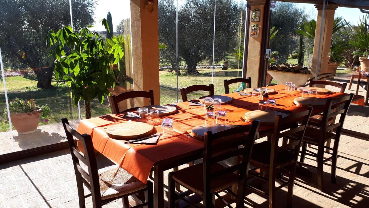 Casa Degli Ulivi Bed and Breakfast Cerveteri Exteriör bild