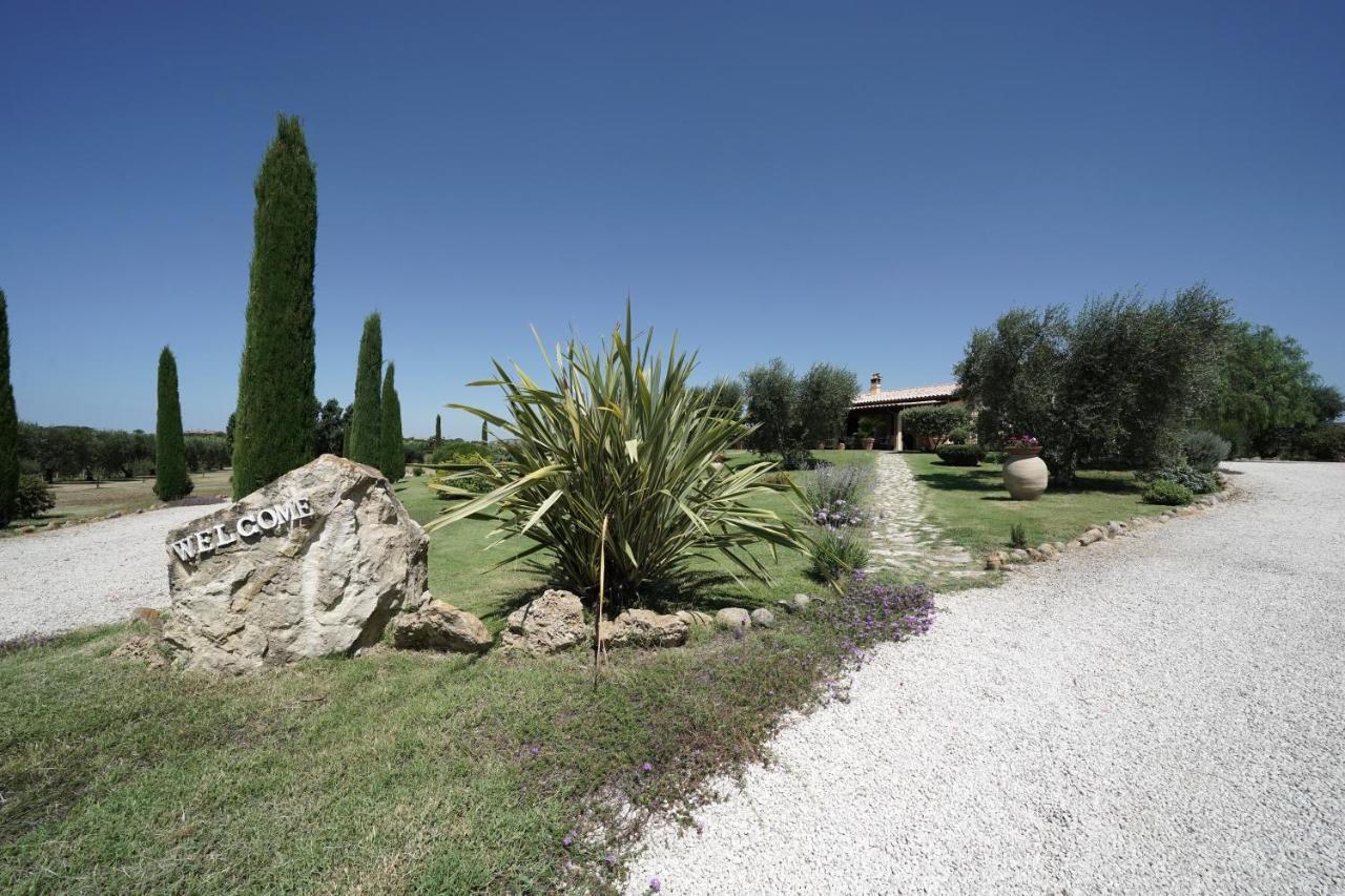 Casa Degli Ulivi Bed and Breakfast Cerveteri Exteriör bild