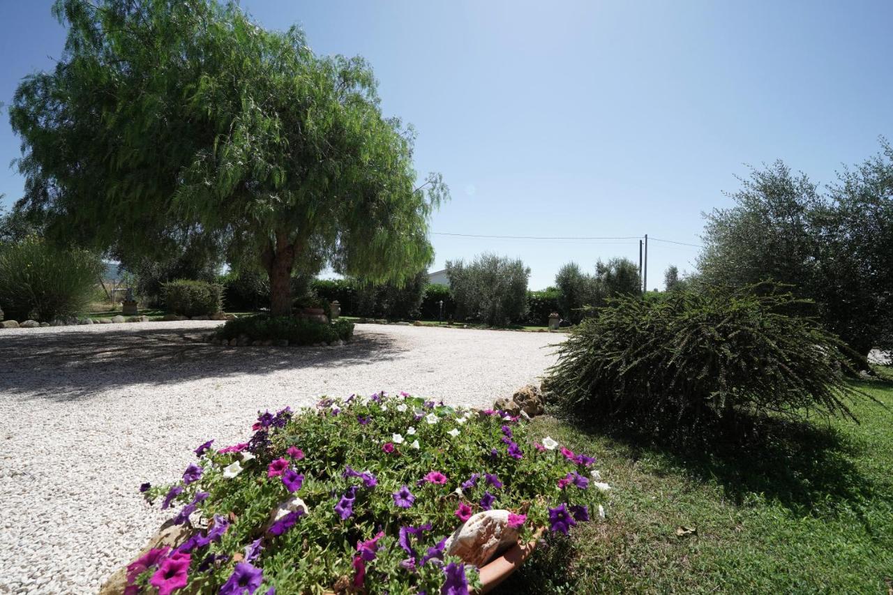 Casa Degli Ulivi Bed and Breakfast Cerveteri Exteriör bild
