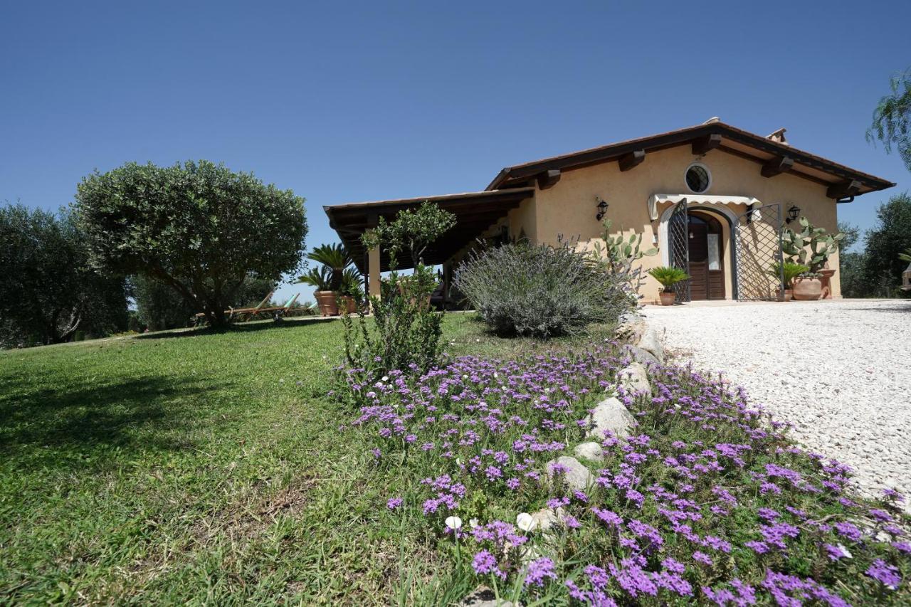 Casa Degli Ulivi Bed and Breakfast Cerveteri Exteriör bild