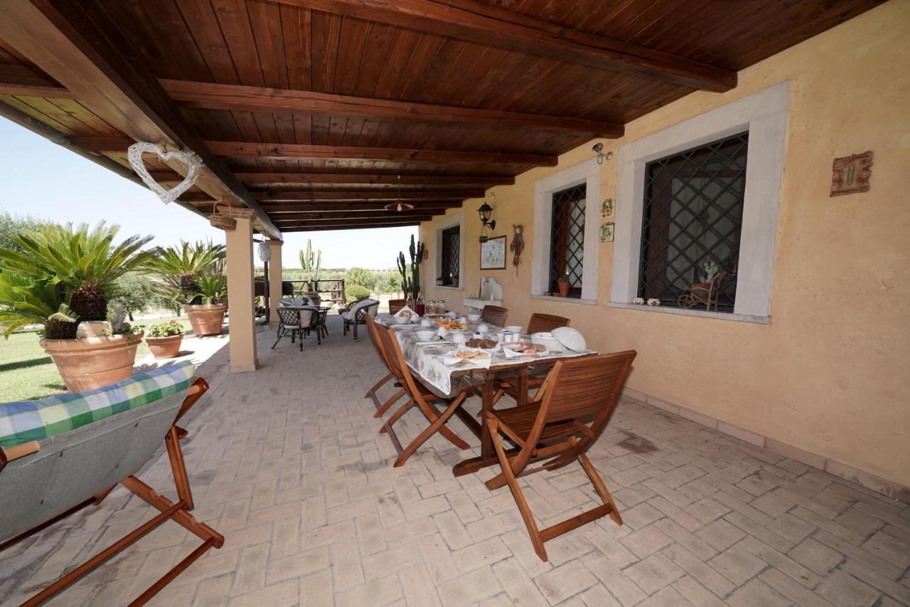 Casa Degli Ulivi Bed and Breakfast Cerveteri Exteriör bild