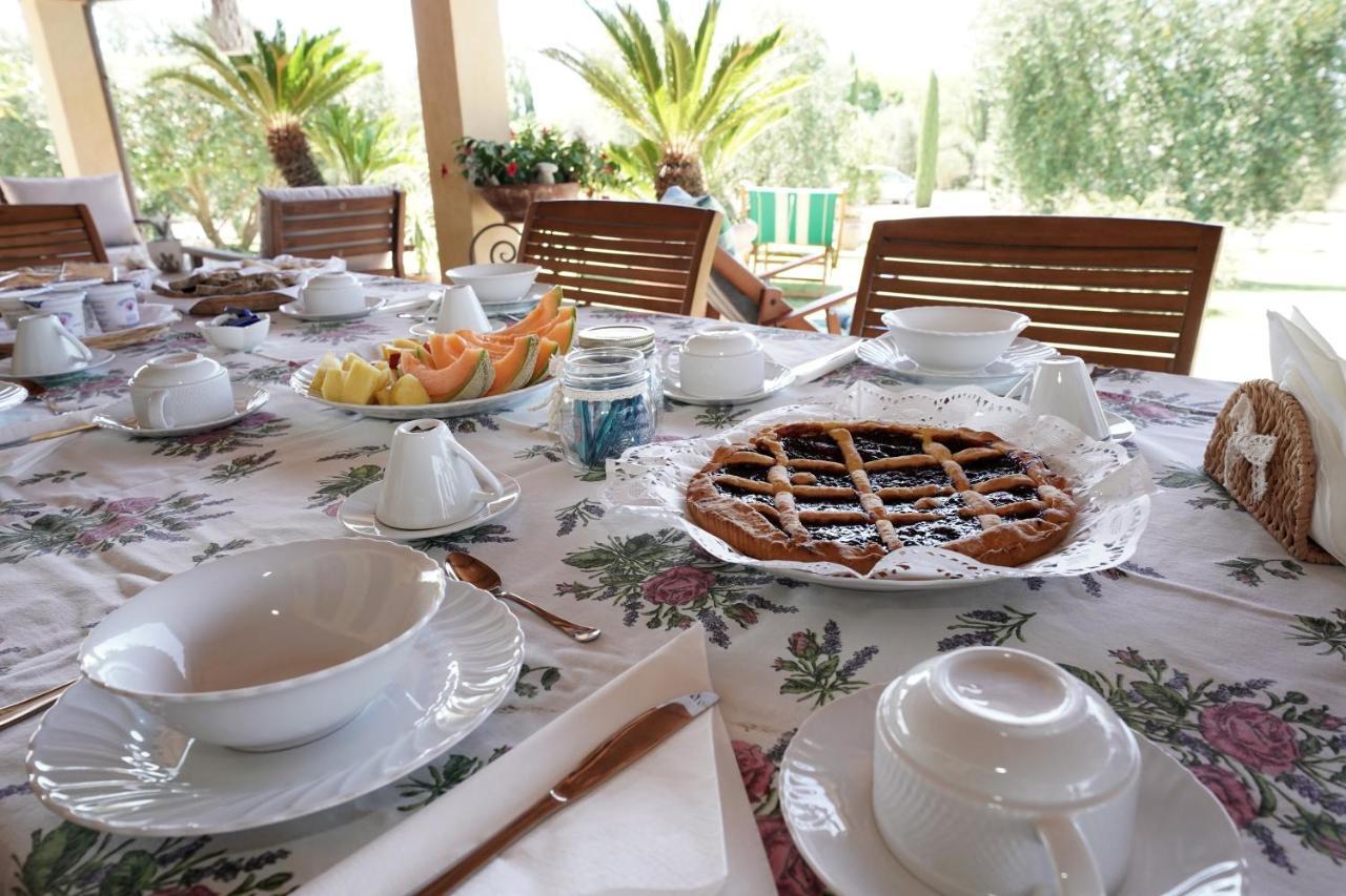 Casa Degli Ulivi Bed and Breakfast Cerveteri Exteriör bild