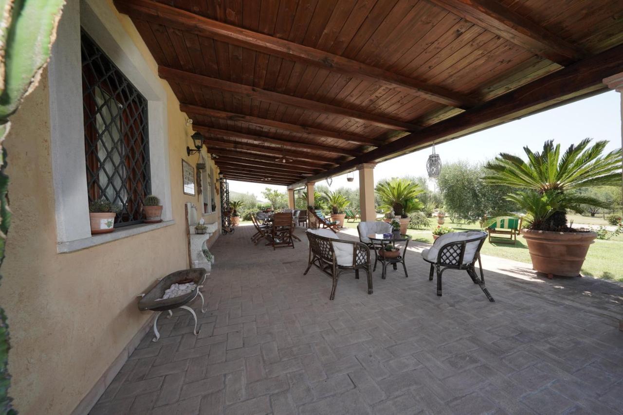 Casa Degli Ulivi Bed and Breakfast Cerveteri Exteriör bild